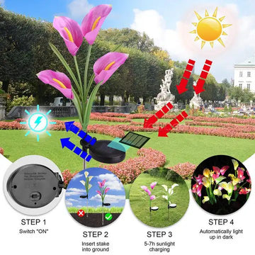 Garden Solar Lights
